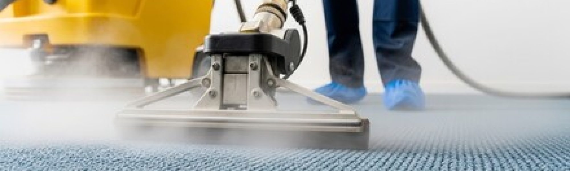 Carpet Cleaning